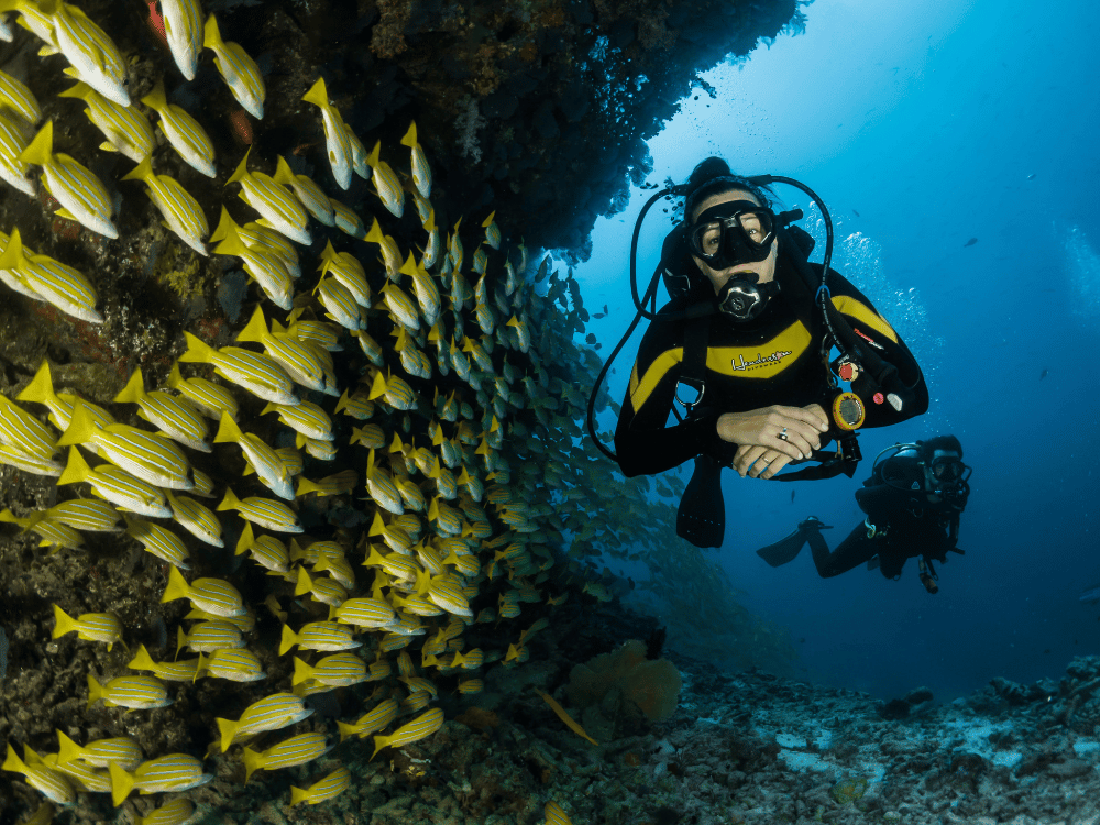 Should Divers Get the New Apple Watch Ultra 2?