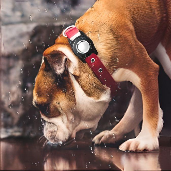 Waterproof IPX7 AirTag Dog Collar Case Water Resistant Holder