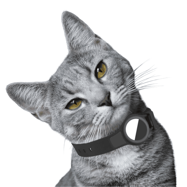 Silicone Collar for Cats with AirTag Holder